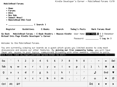 kindle xterm screenshot